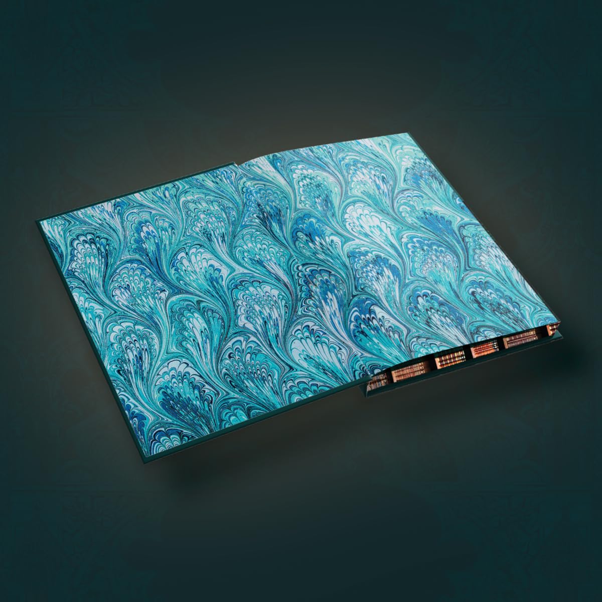 A Study in Drowning Collector's Deluxe Limited Edition by Ava Reid